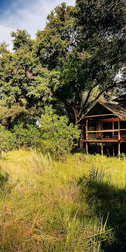 Little Kwara, Central Okavango | Timbuktu Travel