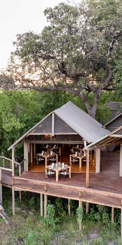 Mokolwane, Central Okavango | Timbuktu Travel