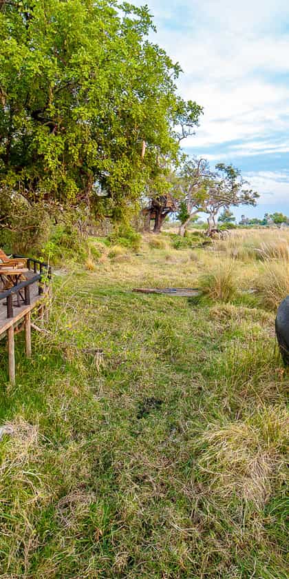 Delta Camp, Central Okavango | Timbuktu Travel
