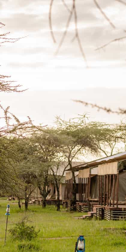 Ang'ata Serengeti, Serengeti | Timbuktu Travel