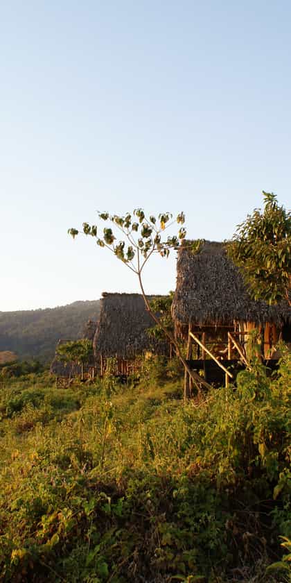 Crater Forest Tented Camp, Ngorongoro Crater | Timbuktu Travel