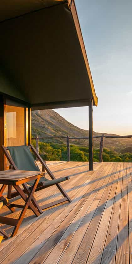 Amakhala HillsNek Safaris, Eastern Cape | Timbuktu Travel