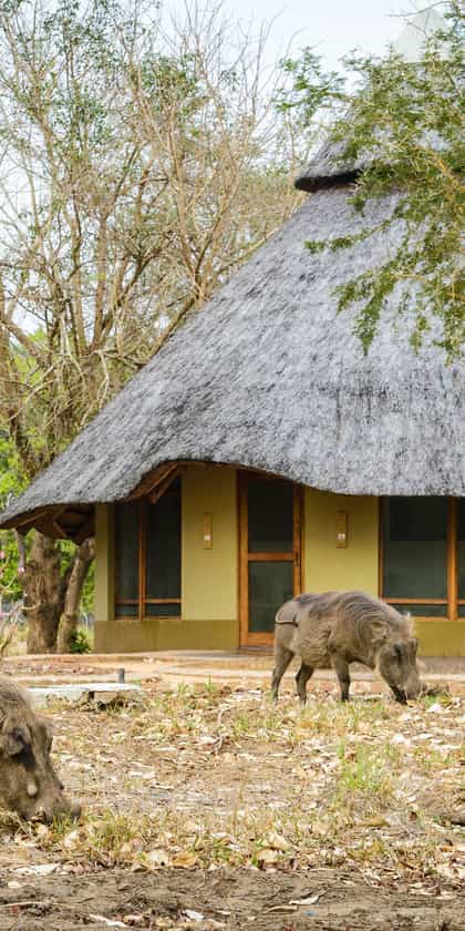 Montebelo Gorongosa Lodge & Safari, Gorongosa | Timbuktu Travel