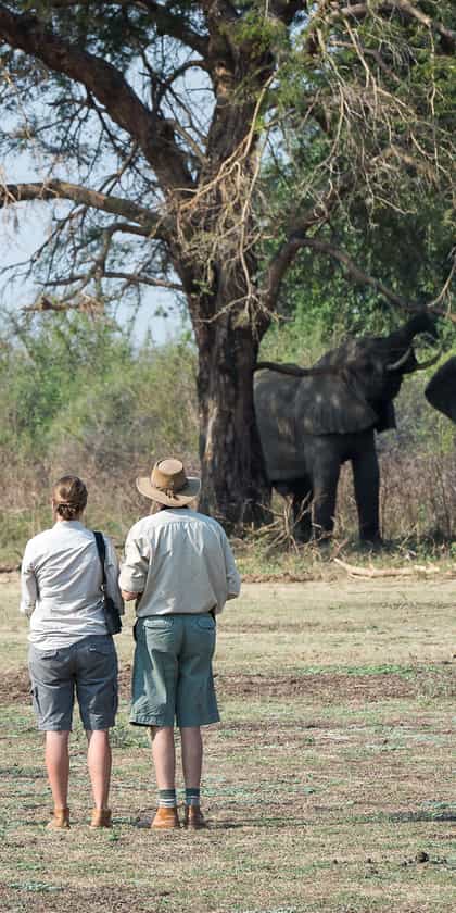 Robin Pope Mobile Safari, South Luangwa | Timbuktu Travel
