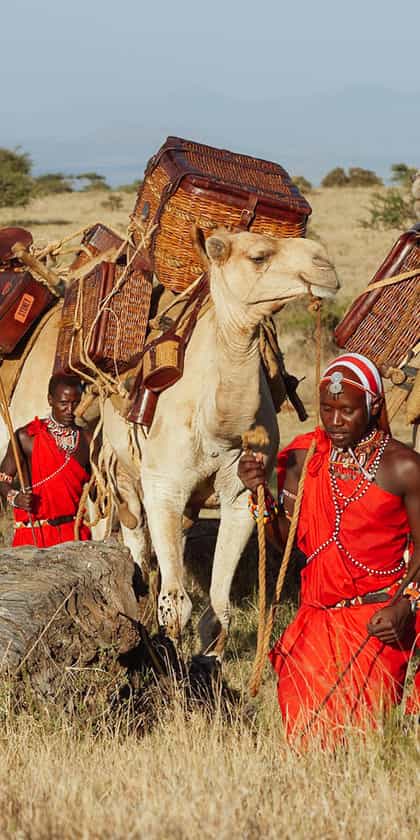Walking Wild, Lewa Downs | Timbuktu Travel