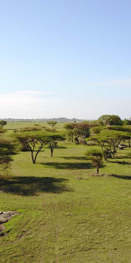 Wayo Tarangire Walking Safari, Tarangire | Timbuktu Travel