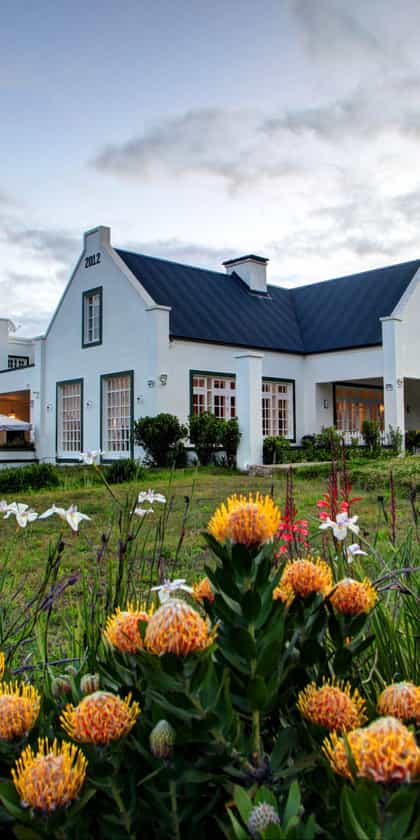 Buffelsdam House, Plettenberg Bay | Timbuktu Travel
