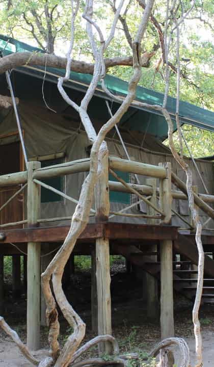 Audi Camp, Maun | Timbuktu Travel
