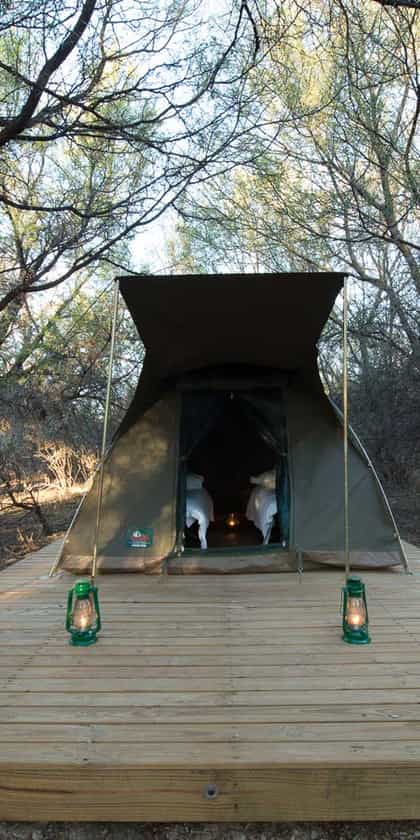 Roam Explorers Camp, Klein Karoo | Timbuktu Travel