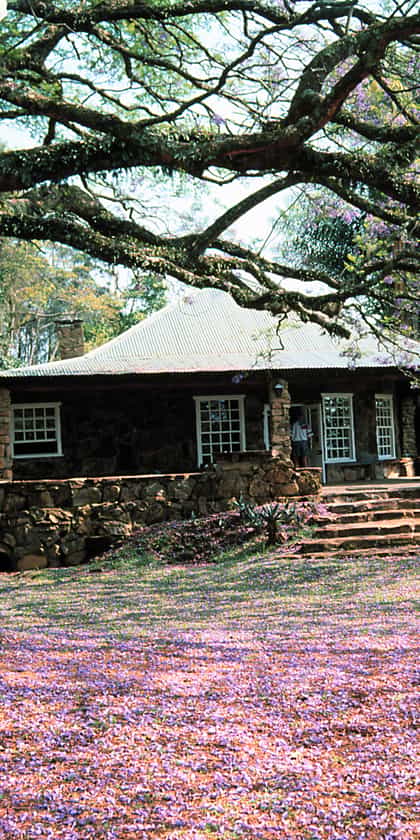 Reilly's Rock Hill Top Lodge, Swaziland (Eswatini) | Timbuktu Travel