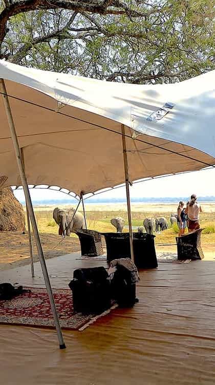 Camp Mana, Mana Pools | Timbuktu Travel
