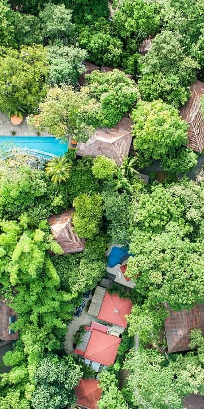 Bodhi Tree Yoga Resort, Nosara | Timbuktu Travel