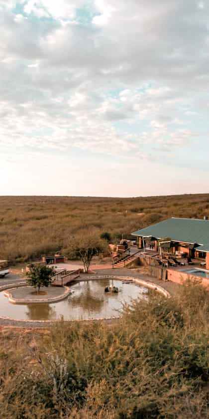 Rockfig Lodge Madikwe, Madikwe | Timbuktu Travel