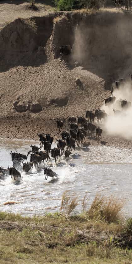Northern Serengeti National Park