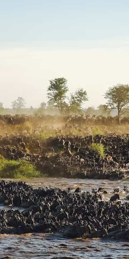 Masai Mara