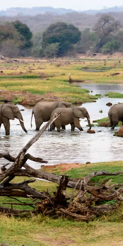 Ruaha National Park