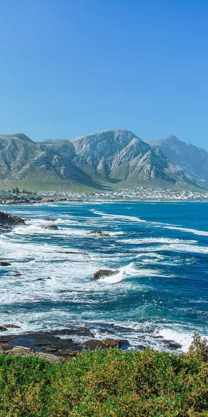 Hermanus