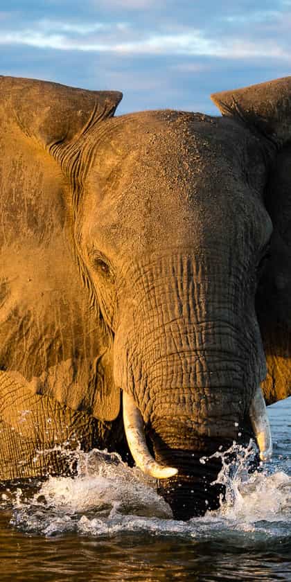 Mana Pools