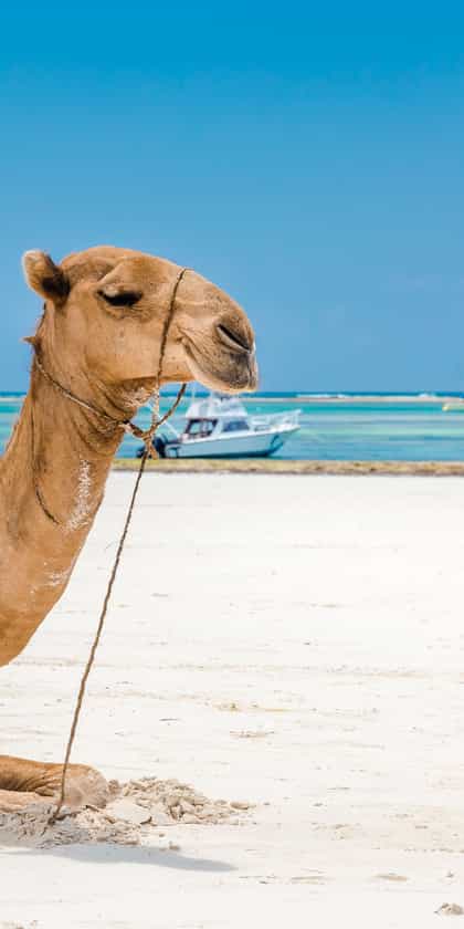 Mombasa