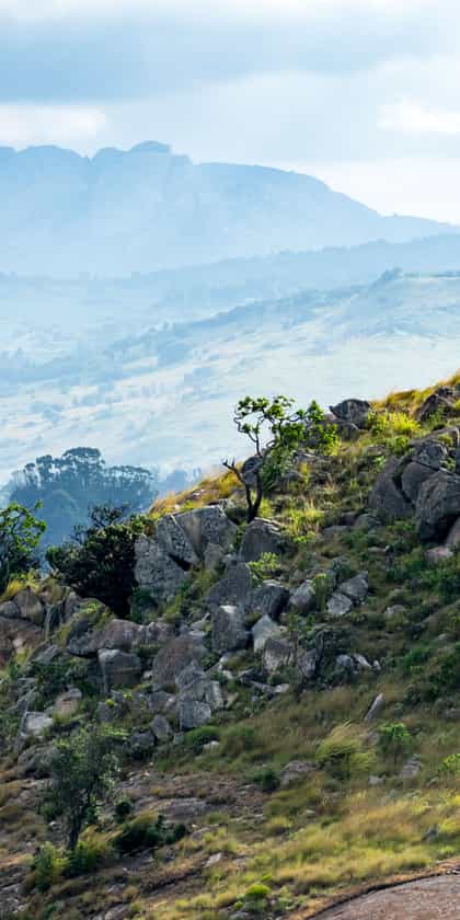 Eastern Highlands