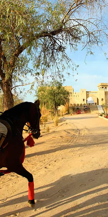Rural Rajasthan
