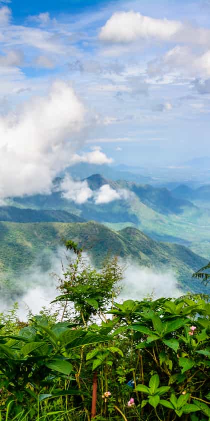 Palani Hills