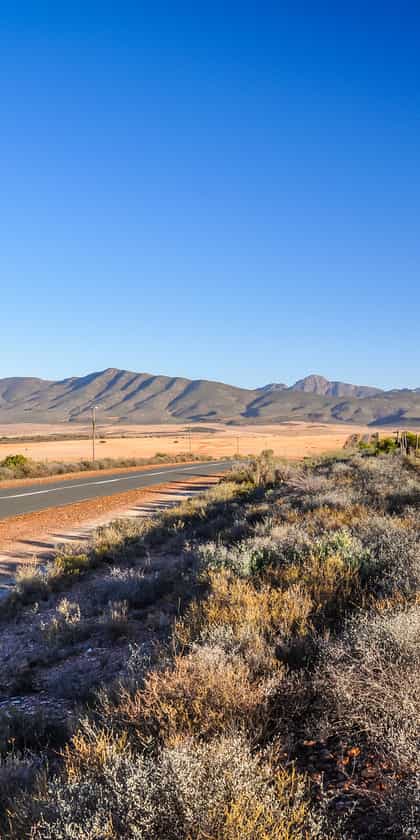Oudtshoorn
