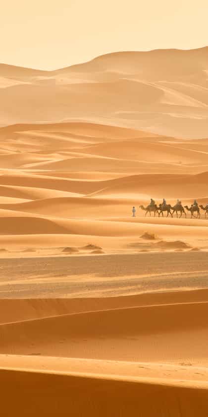 Moroccan Desert