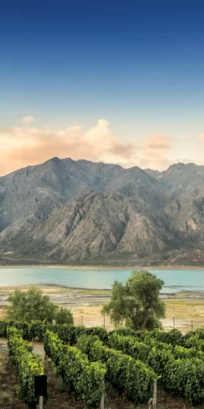 Mendoza