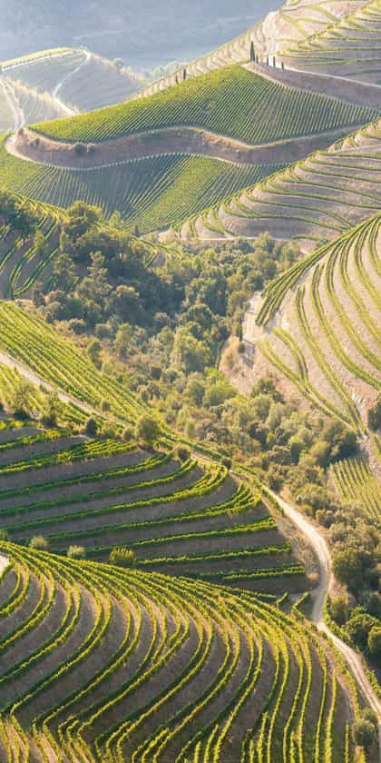 Douro Valley 