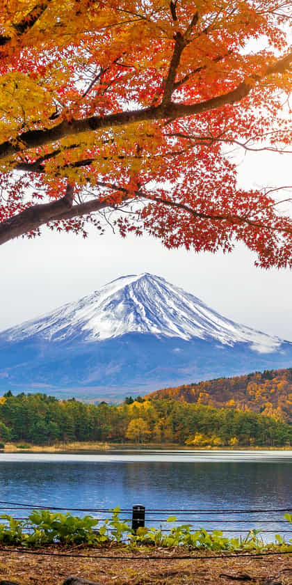 Hakone & Mount Fuji