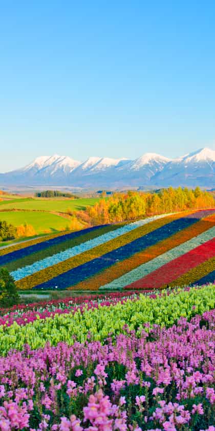 Hokkaido
