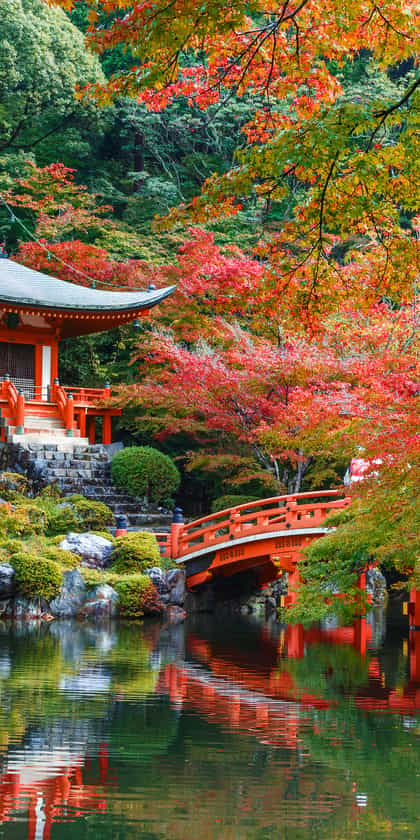 Kyoto