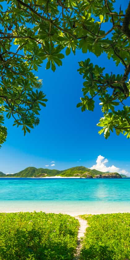 The Okinawa Islands