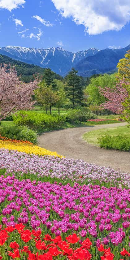 Nagano Prefecture