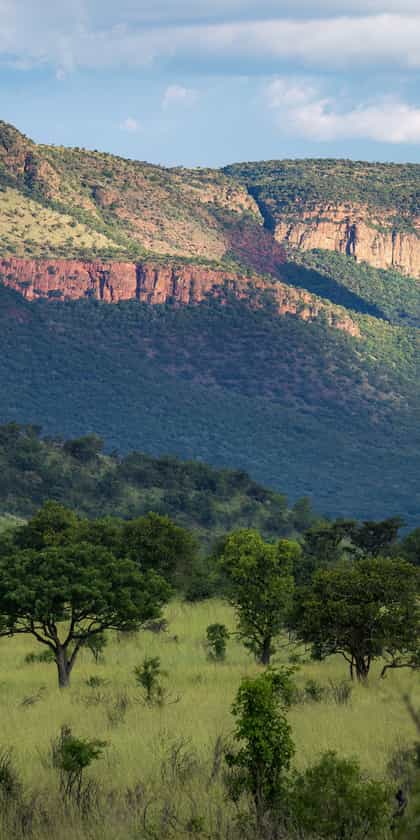 Lapalala Wilderness