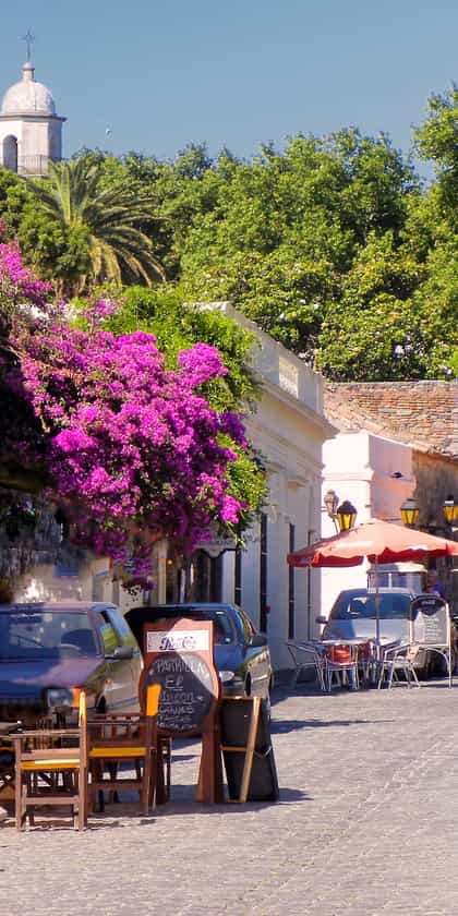 Colonia 