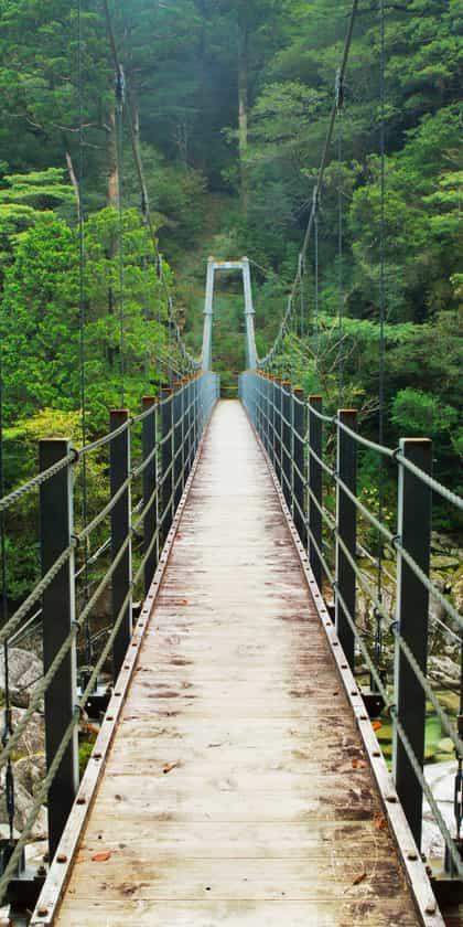 Yakushima Island