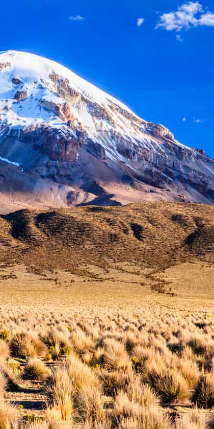 Sajama 