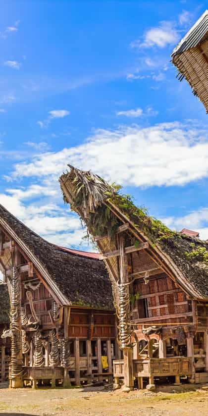 Toraja