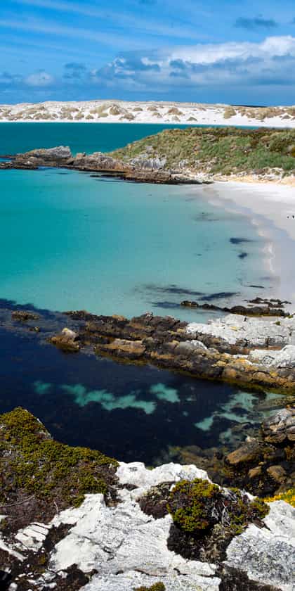 The Falkland Islands