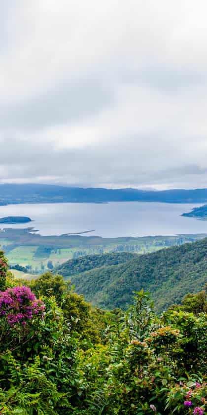 Pasto