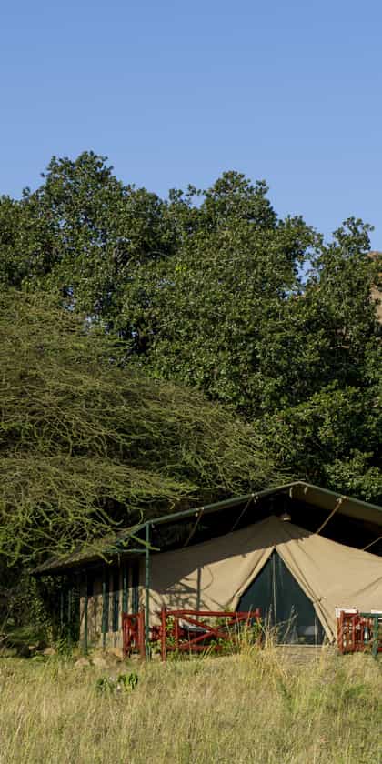 Mbuzi Mawe Serena Camp, Serengeti | Timbuktu Travel