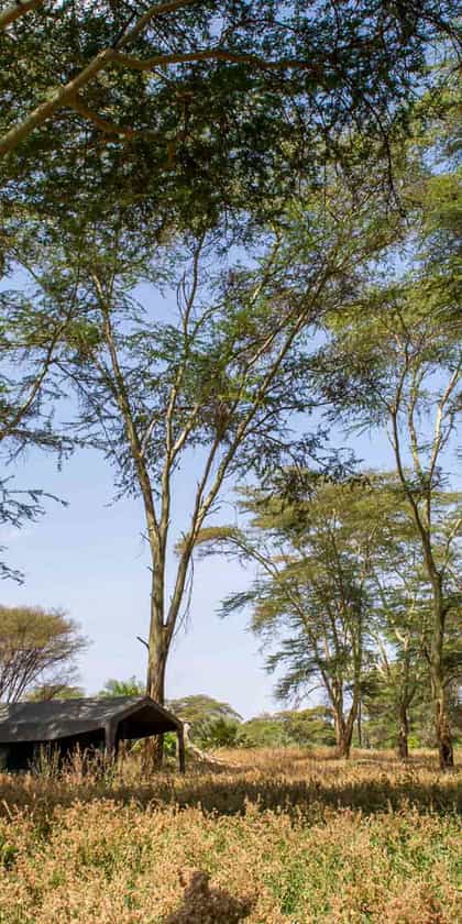 Meru Mobile Safari, Meru | Timbuktu Travel