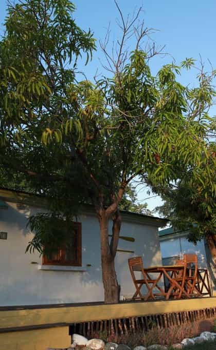 Lodge de La Saline , Morondava and the Avenue of the Baobabs | Timbuktu Travel