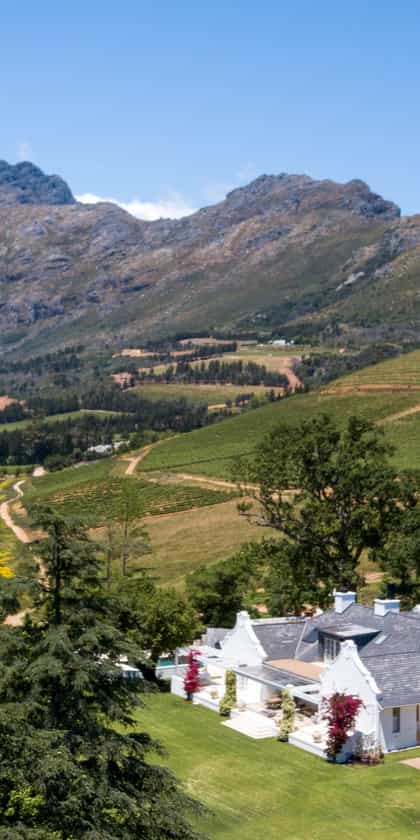 The Homestead at Oldenburg Vineyards, Stellenbosch | Timbuktu Travel