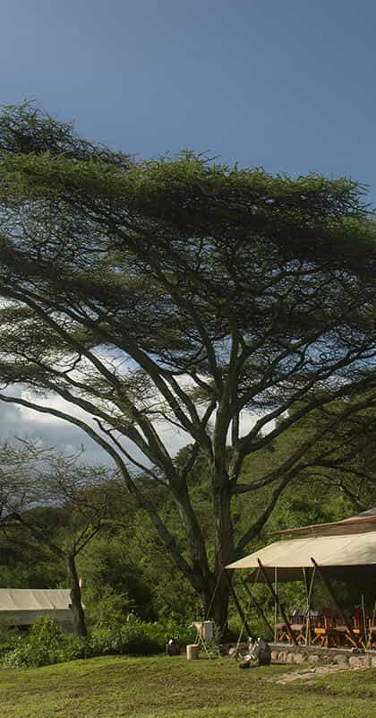 Esirai Camp (South), Serengeti | Timbuktu Travel