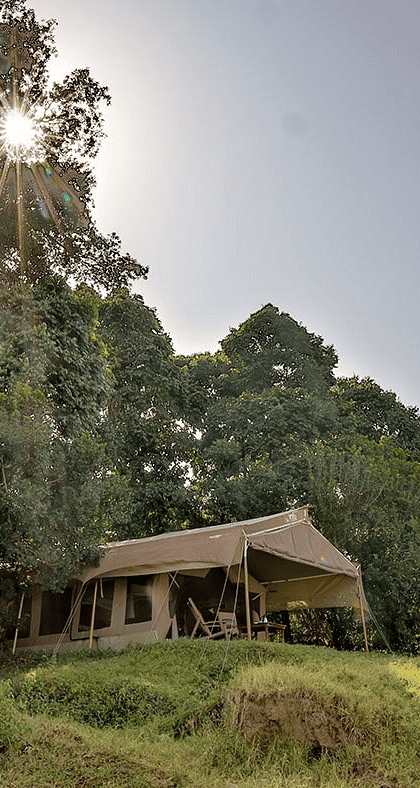 Sentinel Mara Camp, Masai Mara | Timbuktu Travel