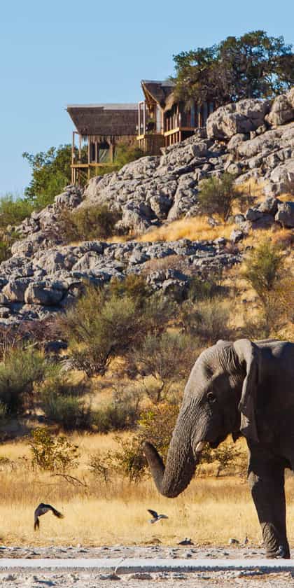 Dolomite Camp, Etosha | Timbuktu Travel