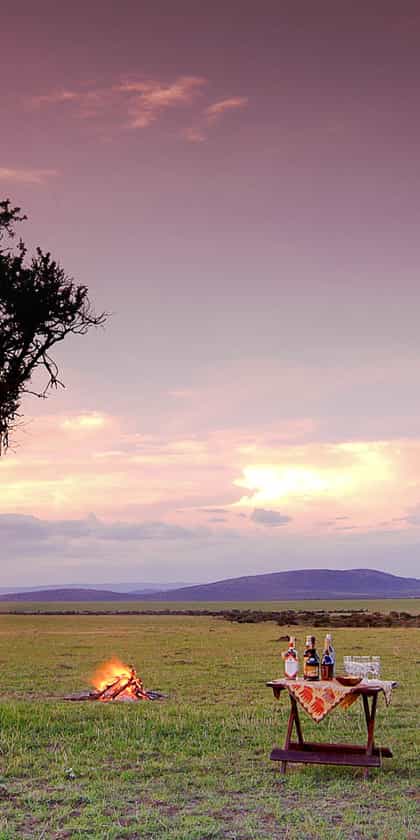 Leleshwa Safari Camp, Masai Mara | Timbuktu Travel